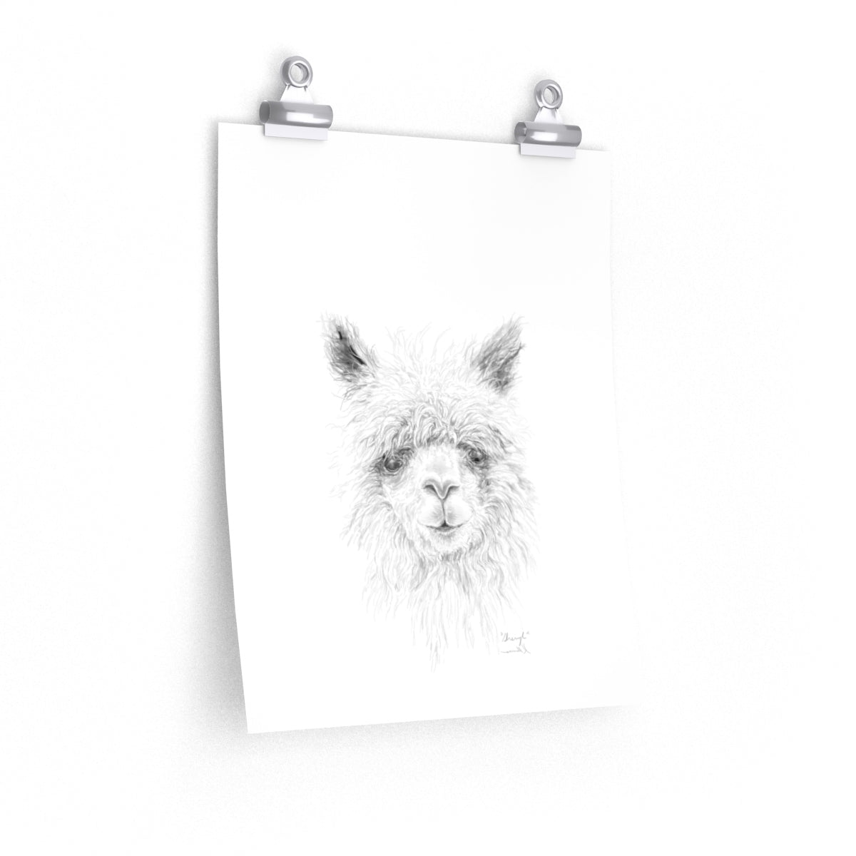 SHERYL Llama- Art Paper Print