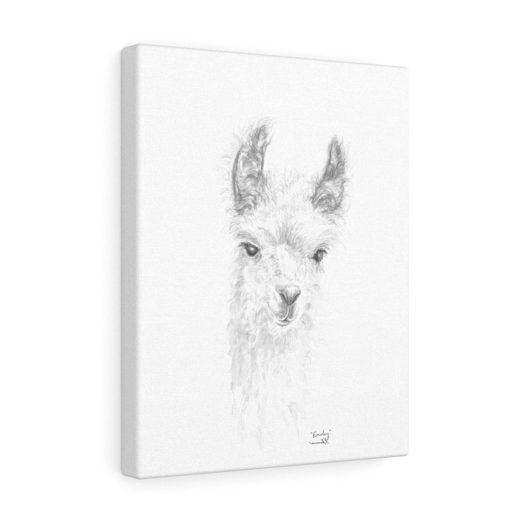 EMSLEY Llama - Art Canvas