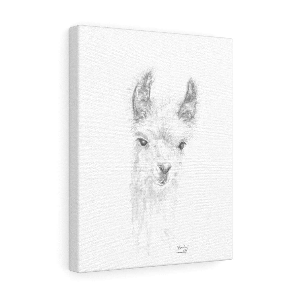 EMSLEY Llama - Art Canvas