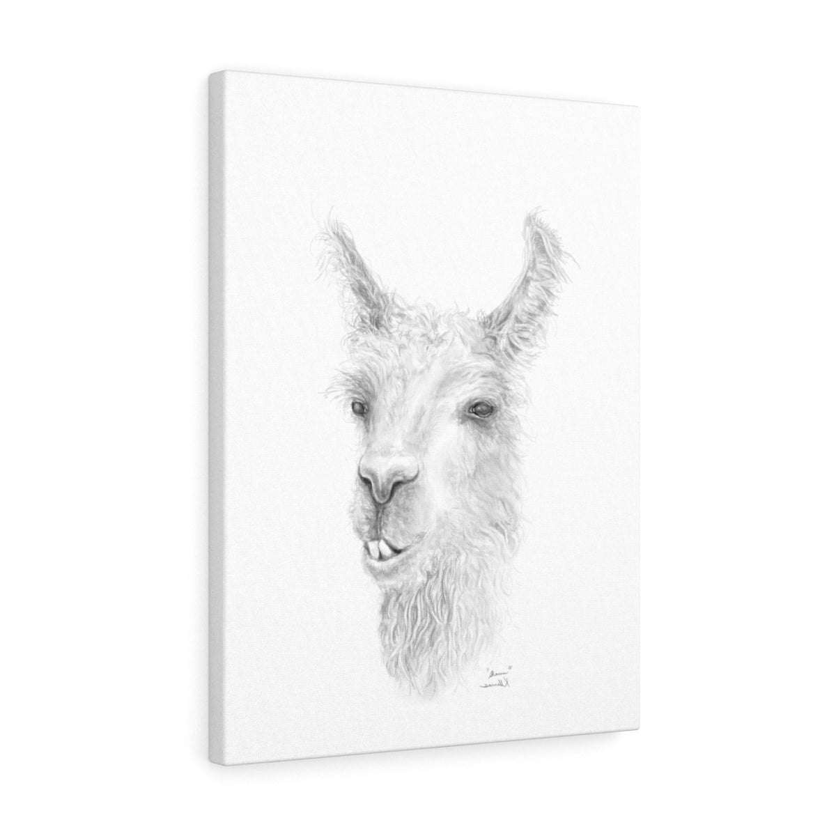 SHAUN Llama - Art Canvas