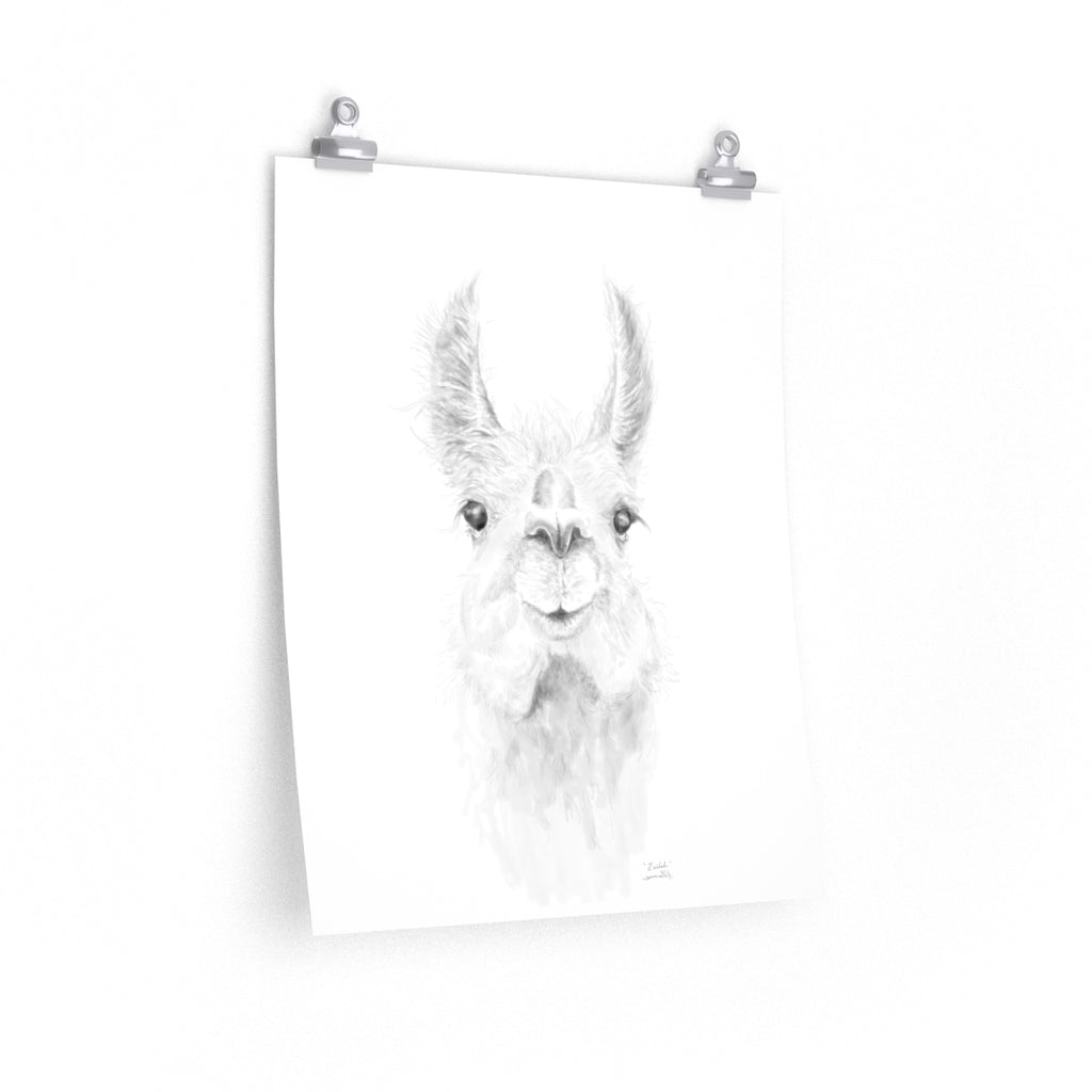 ZAILAH Llama- Art Paper Print