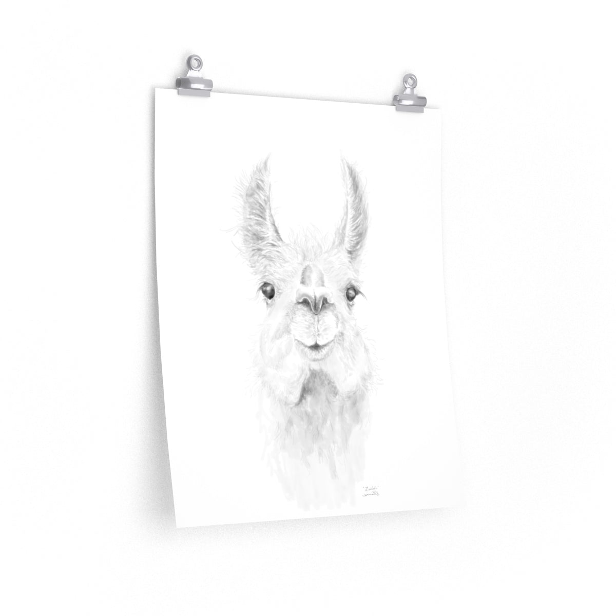 ZAILAH Llama- Art Paper Print