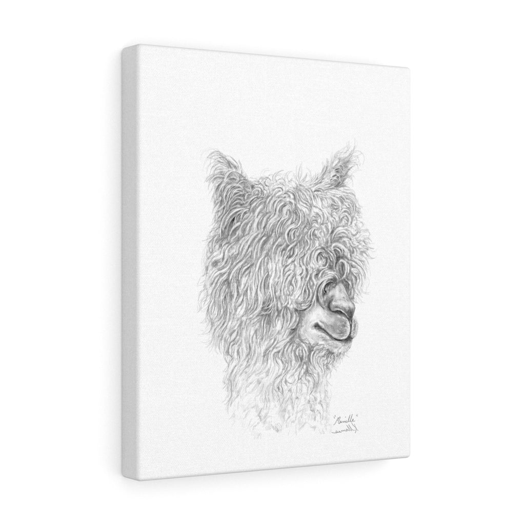 MARIELLE Llama - Art Canvas