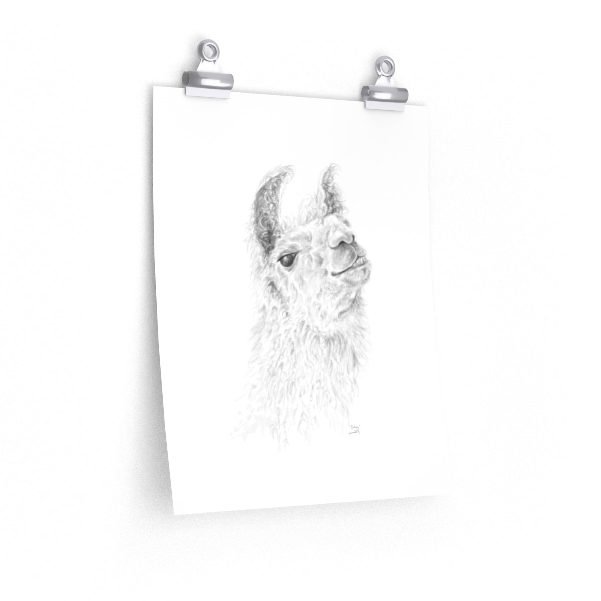 RODNEY Llama- Art Paper Print