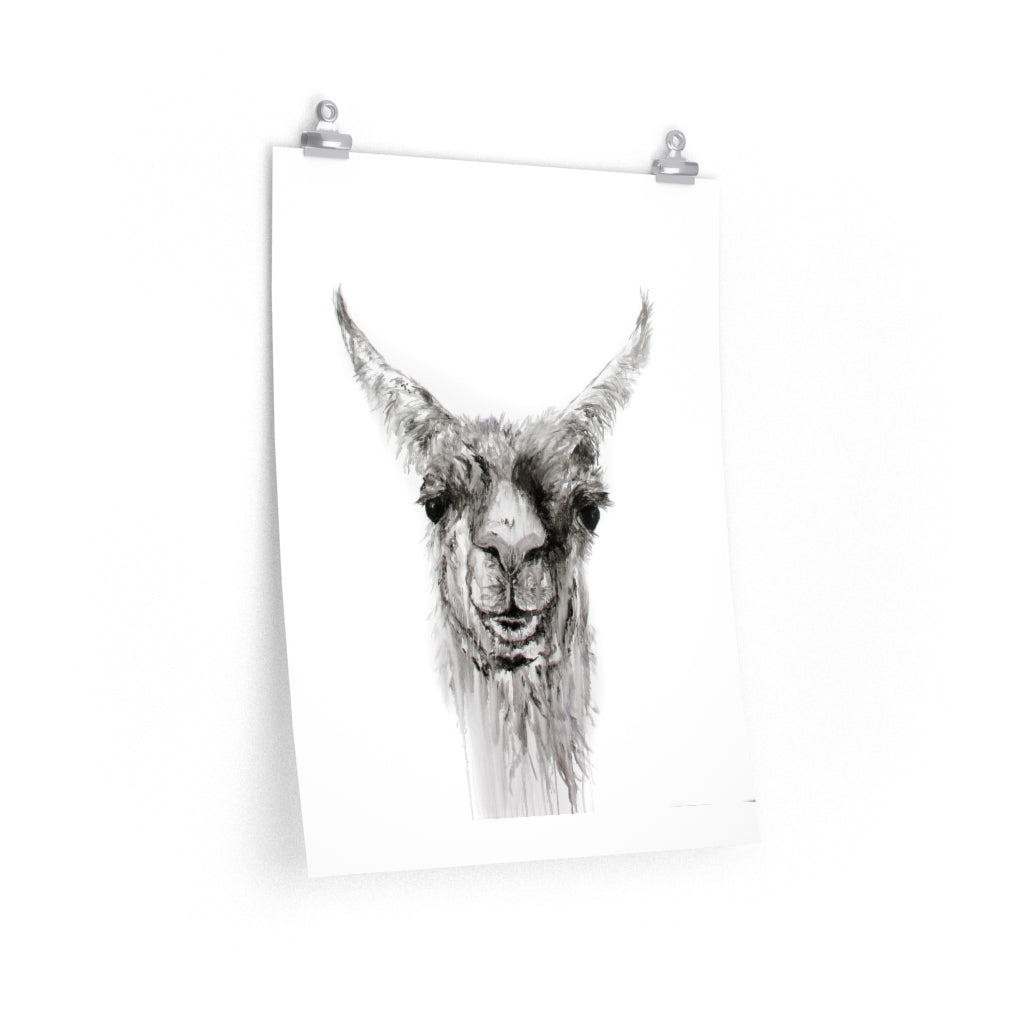 NEMORIO Llama- Art Paper Print
