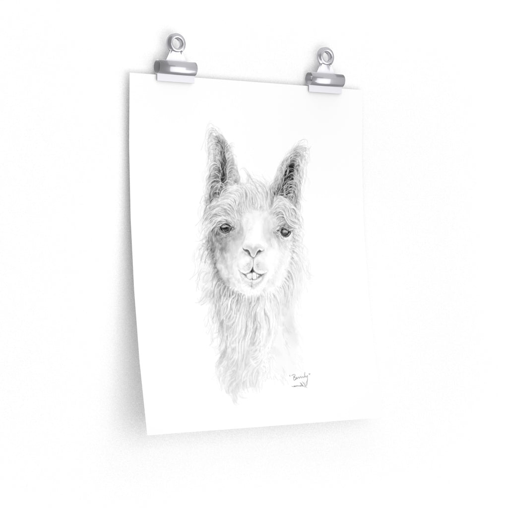 BEVERLY Llama- Art Paper Print