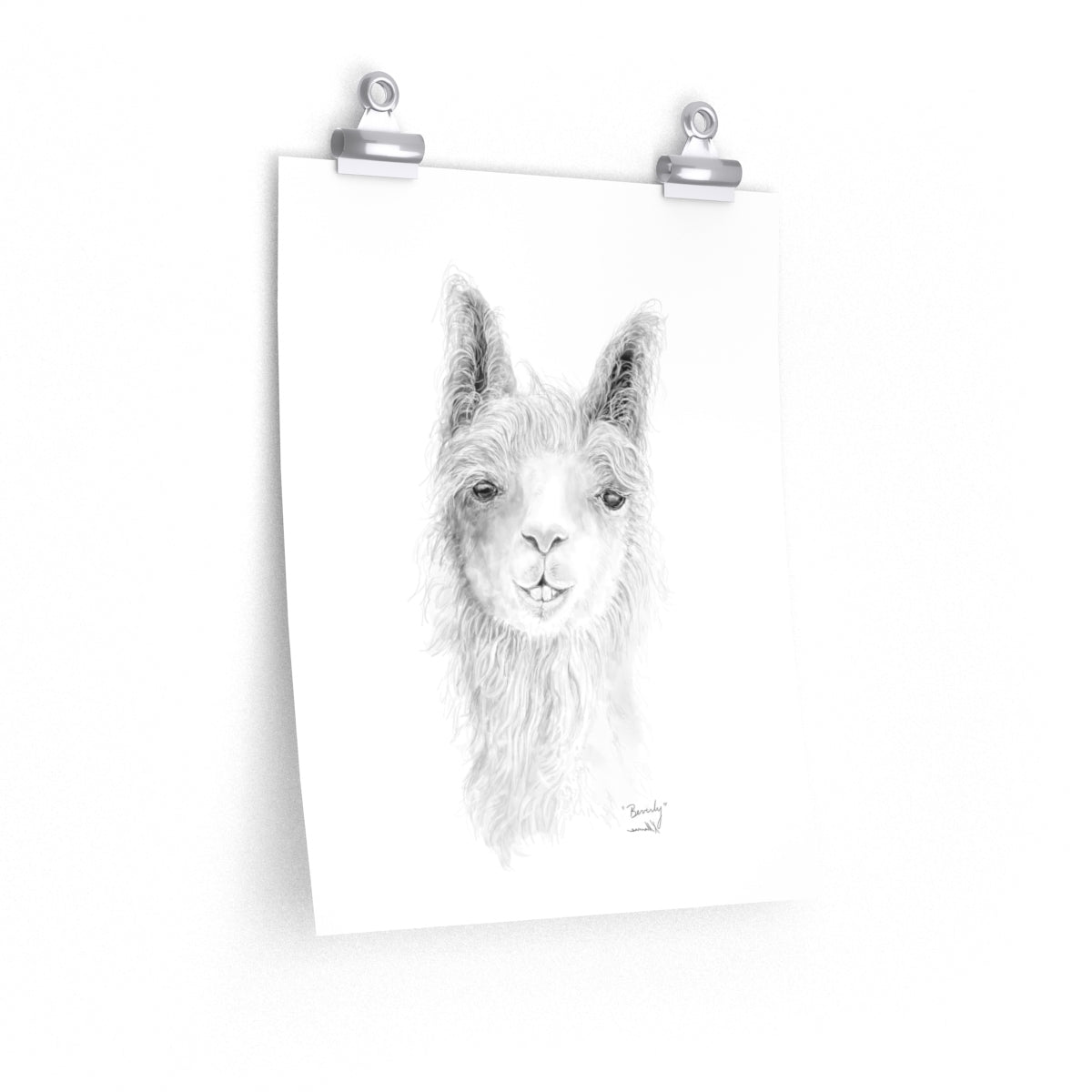 BEVERLY Llama- Art Paper Print