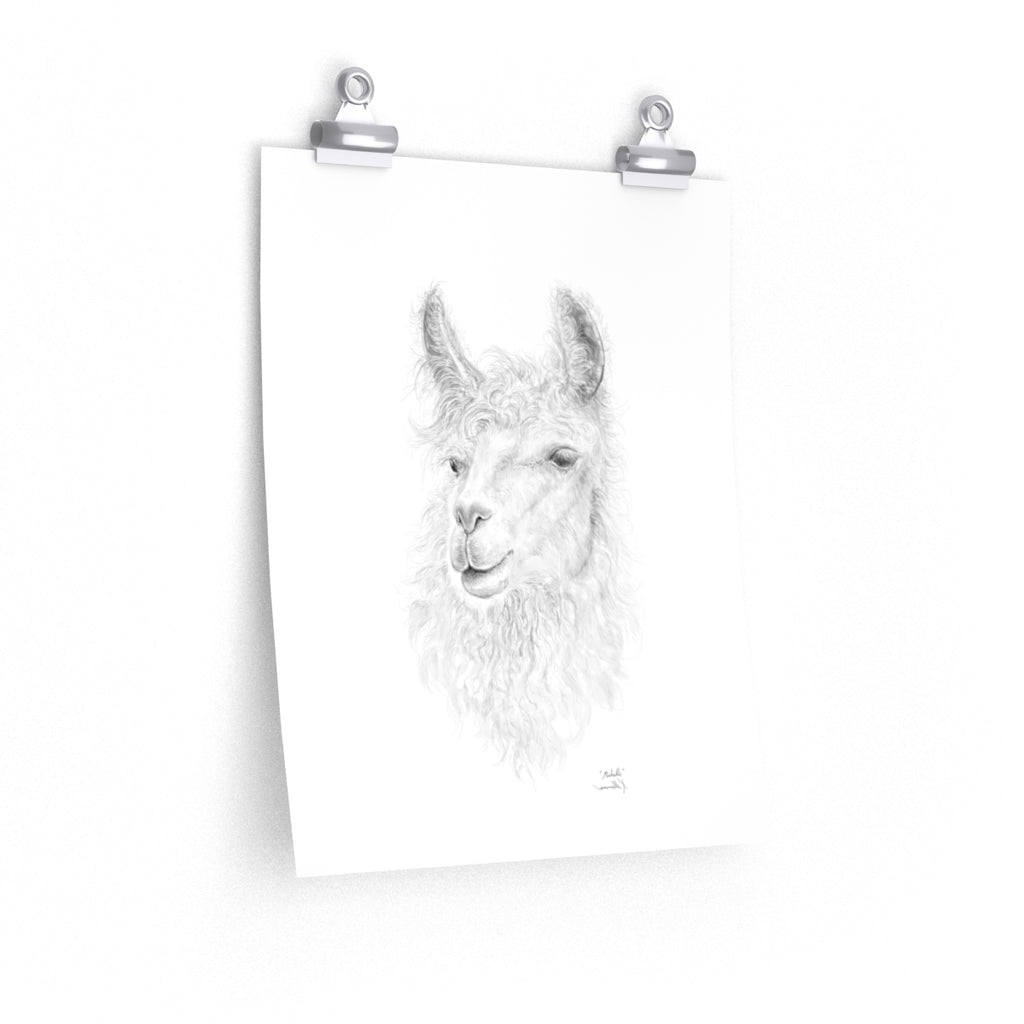 MICHELLE Llama- Art Paper Print