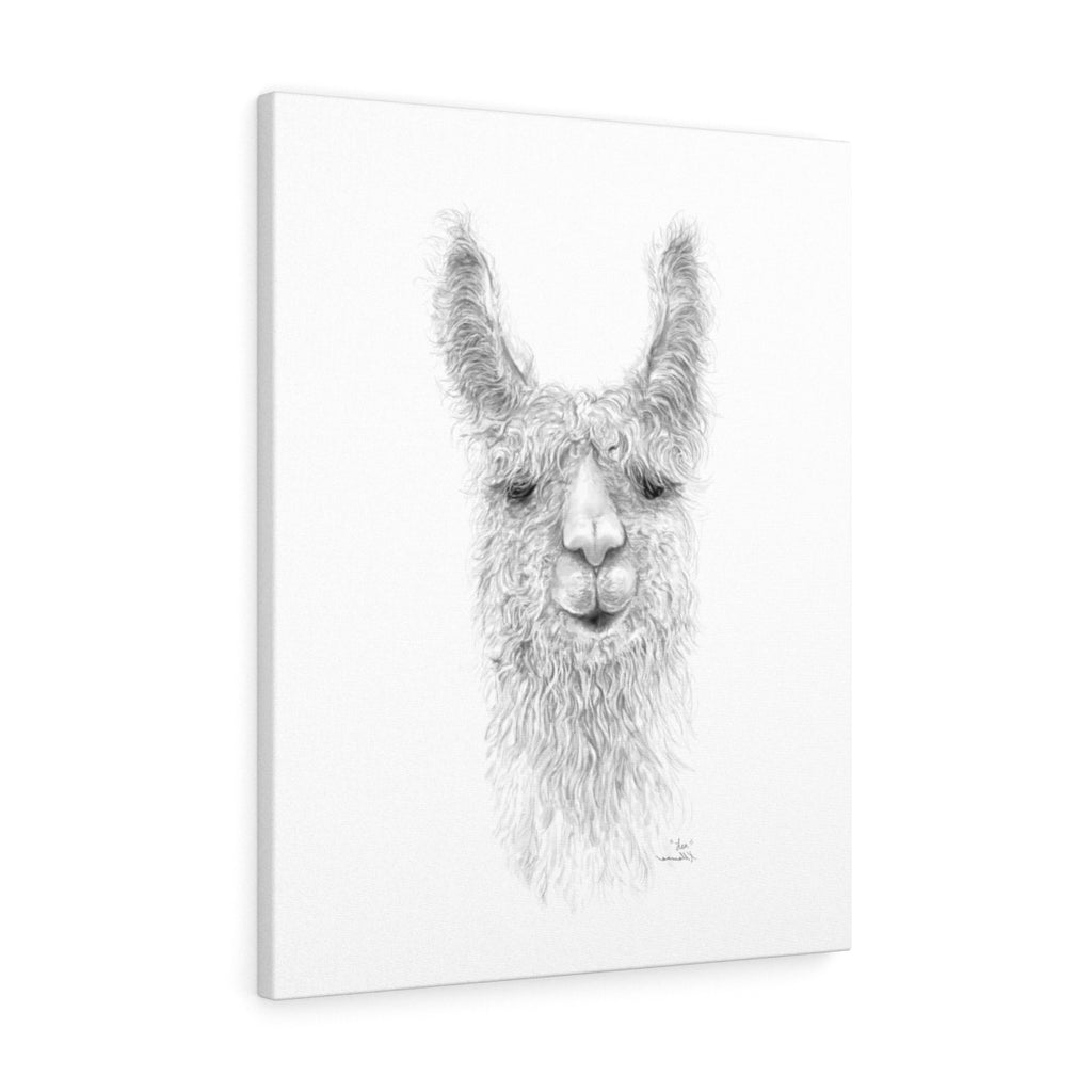 LEA Llama - Art Canvas