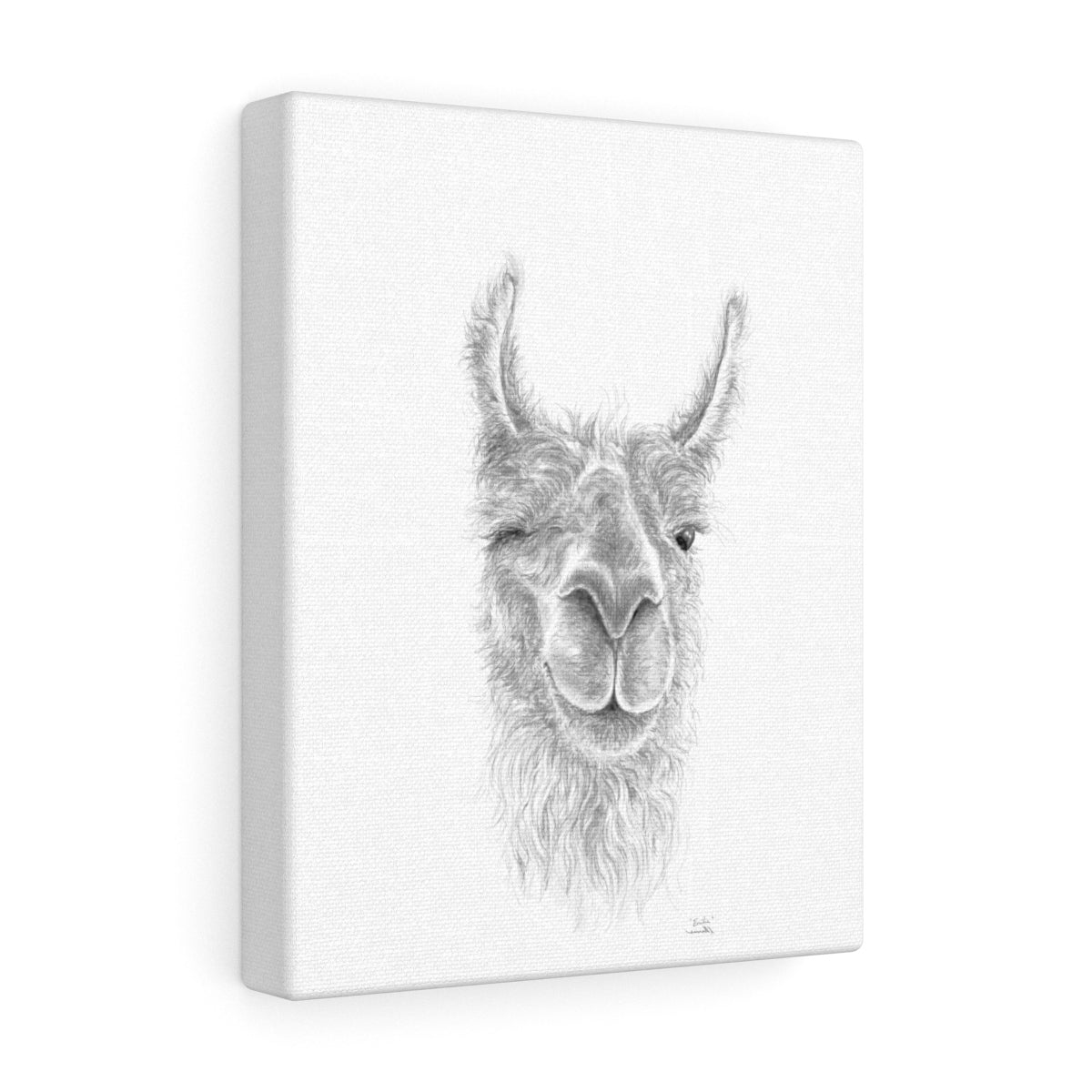 EMILIE Llama - Art Canvas