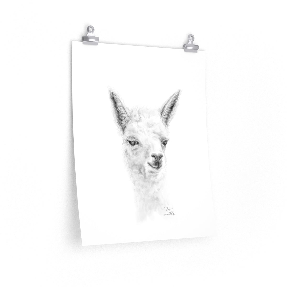ROSIE Llama- Art Paper Print