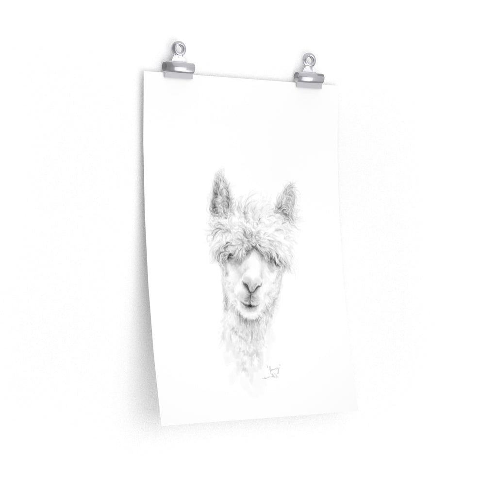 JENNY Llama- Art Paper Print