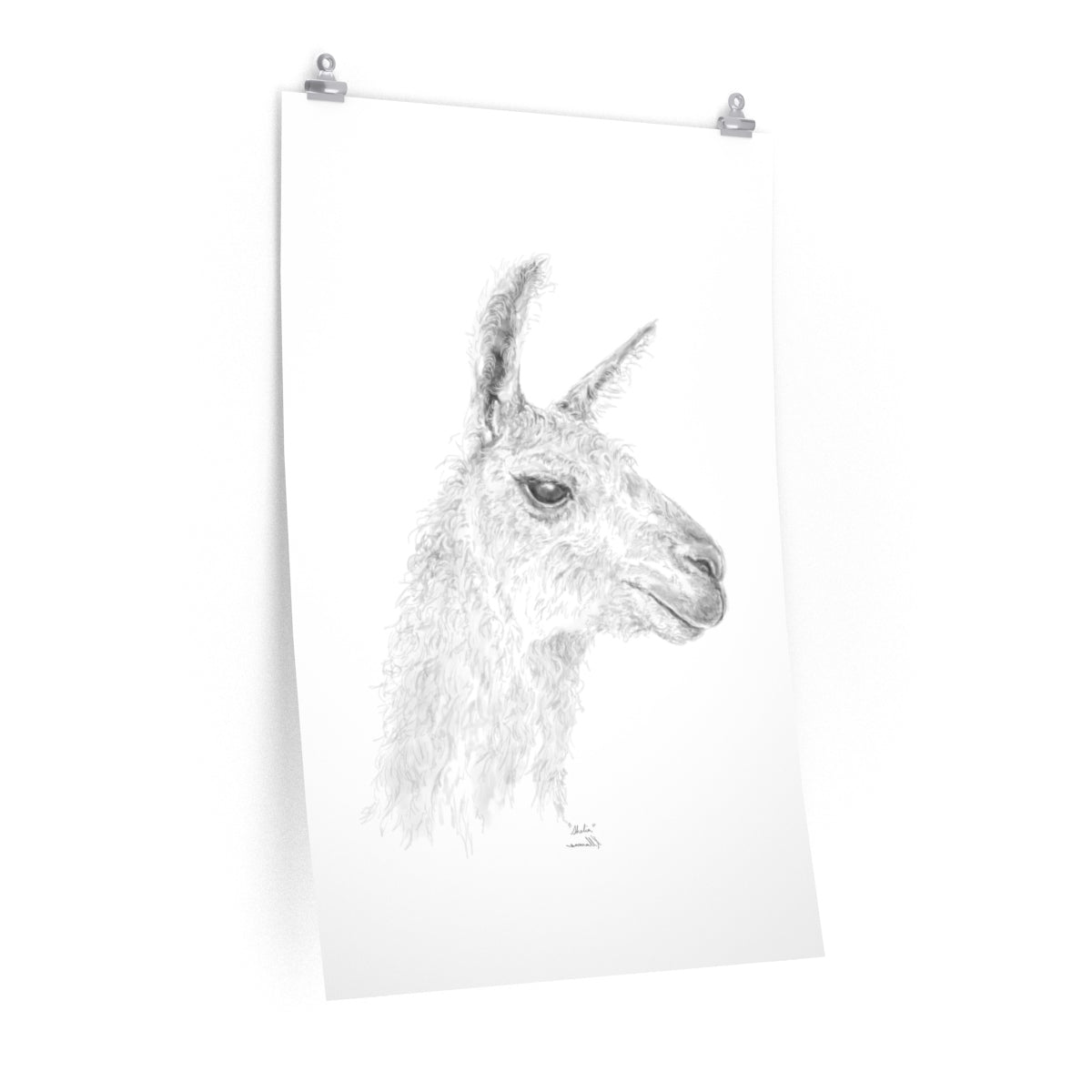 SHELIA Llama- Art Paper Print