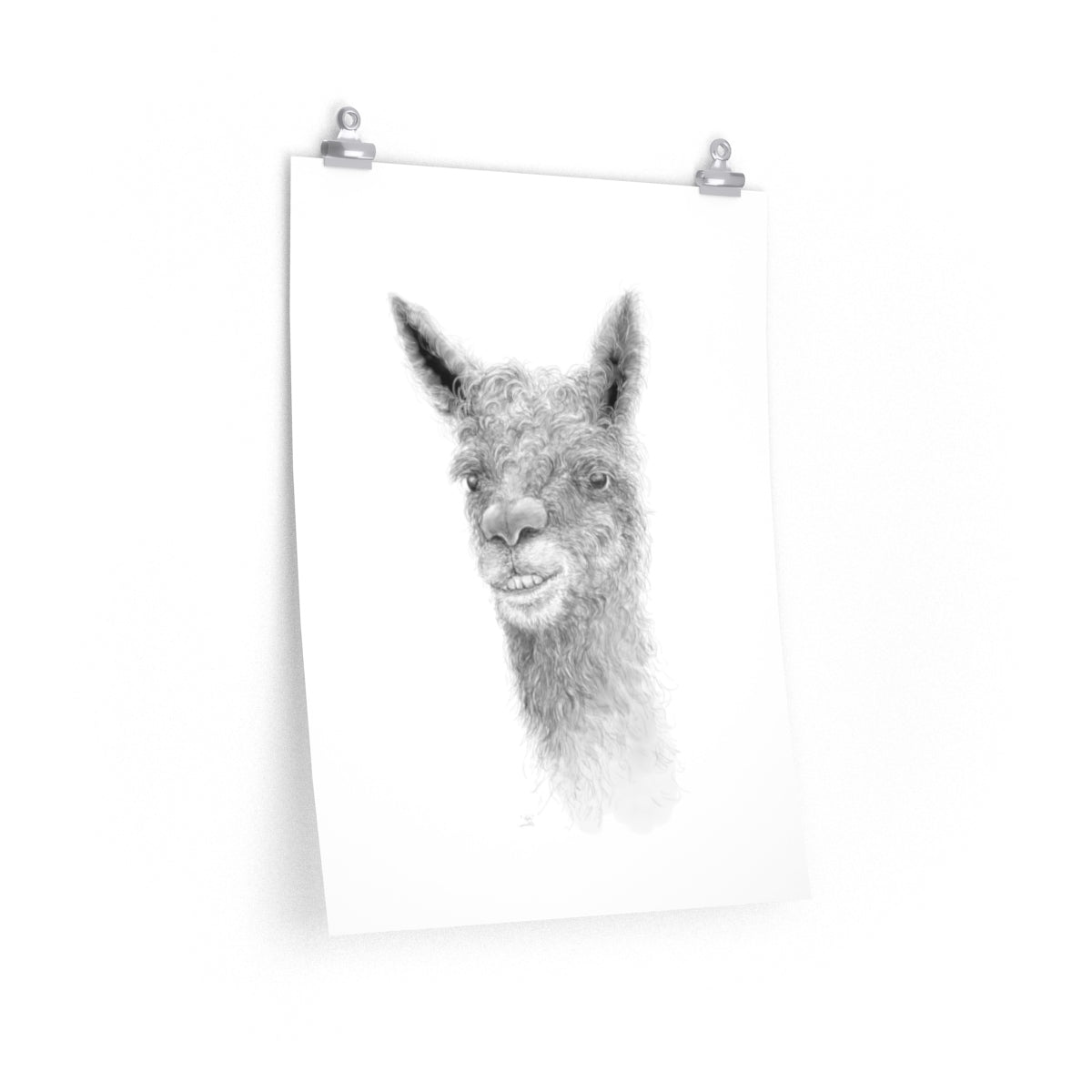 TATE Llama- Art Paper Print