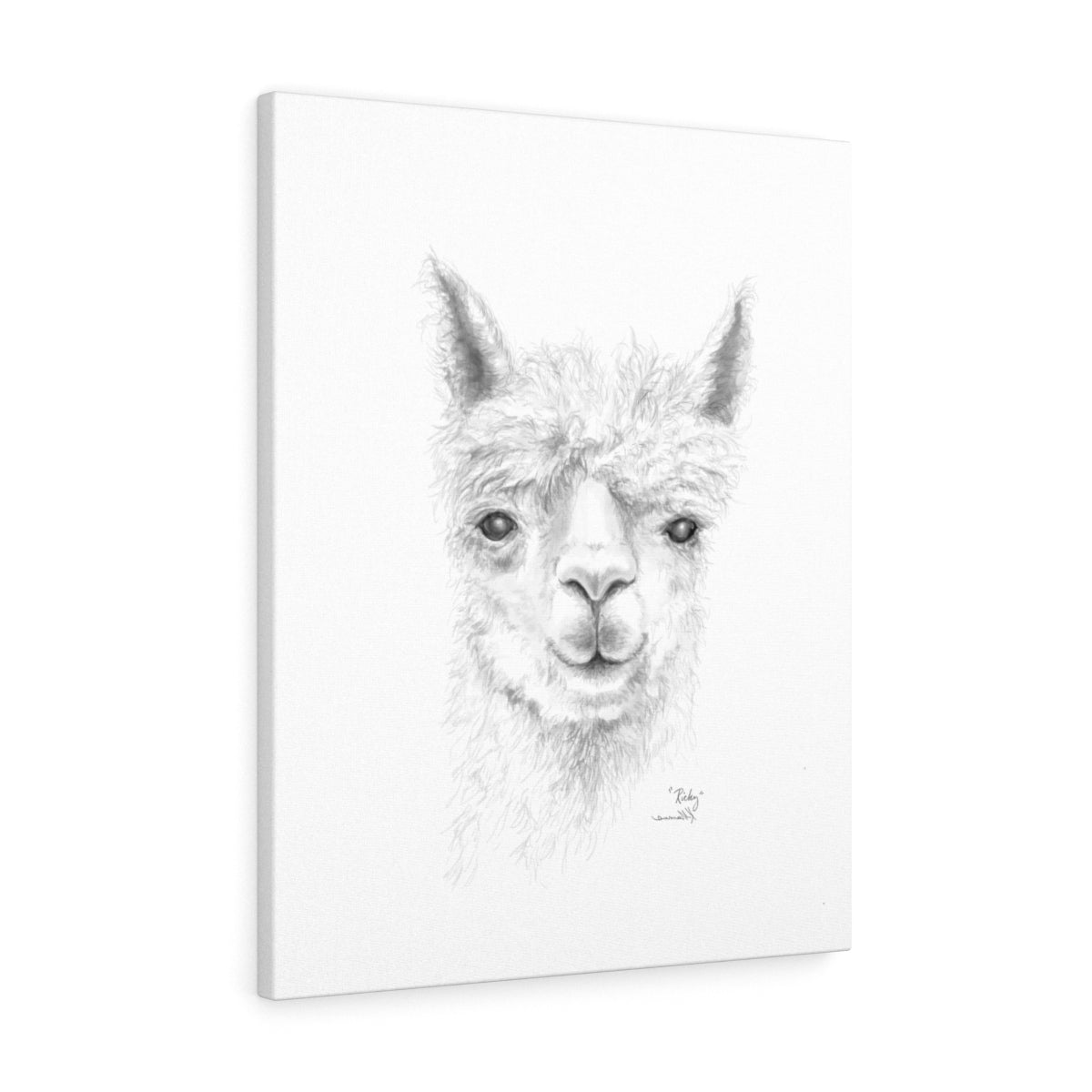 RICKY Llama - Art Canvas