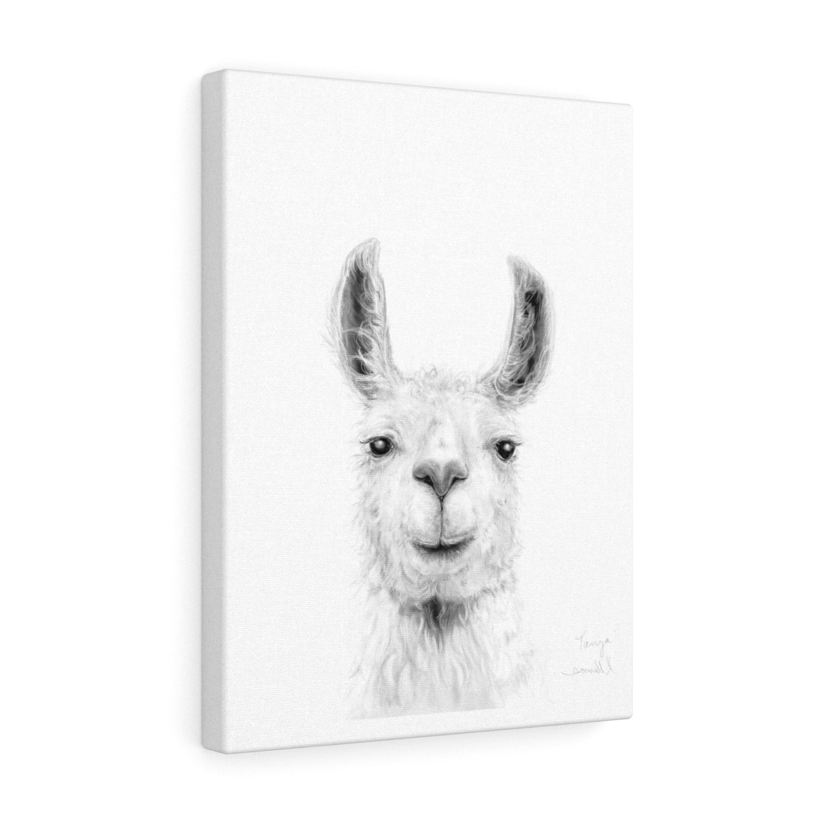 TANYA Llama - Art Canvas