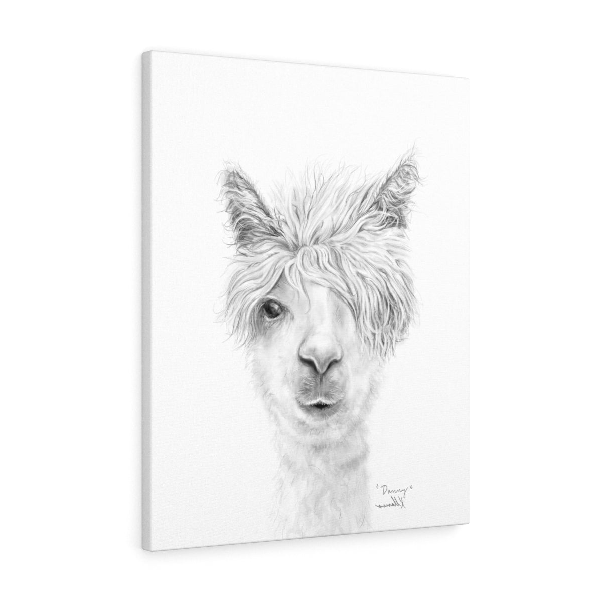 DANNY Llama - Art Canvas
