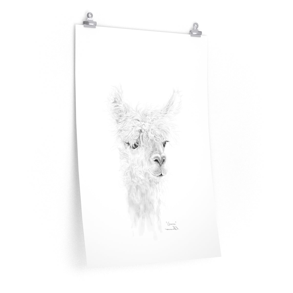 GRACE Llama- Art Paper Print