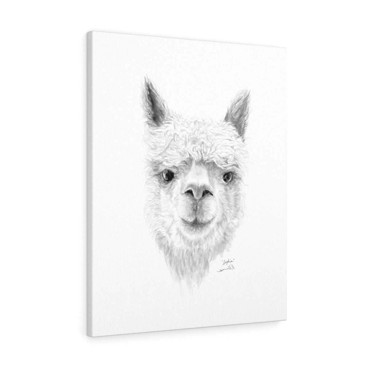 SOPHIA Llama - Art Canvas