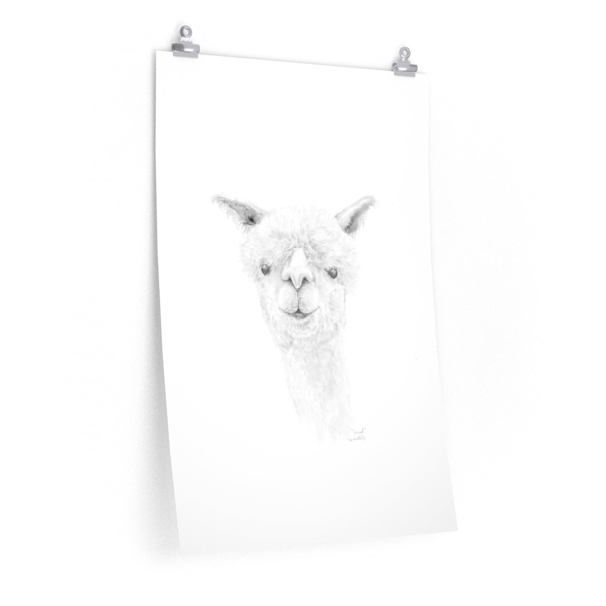 JJARED Llama- Art Paper Print