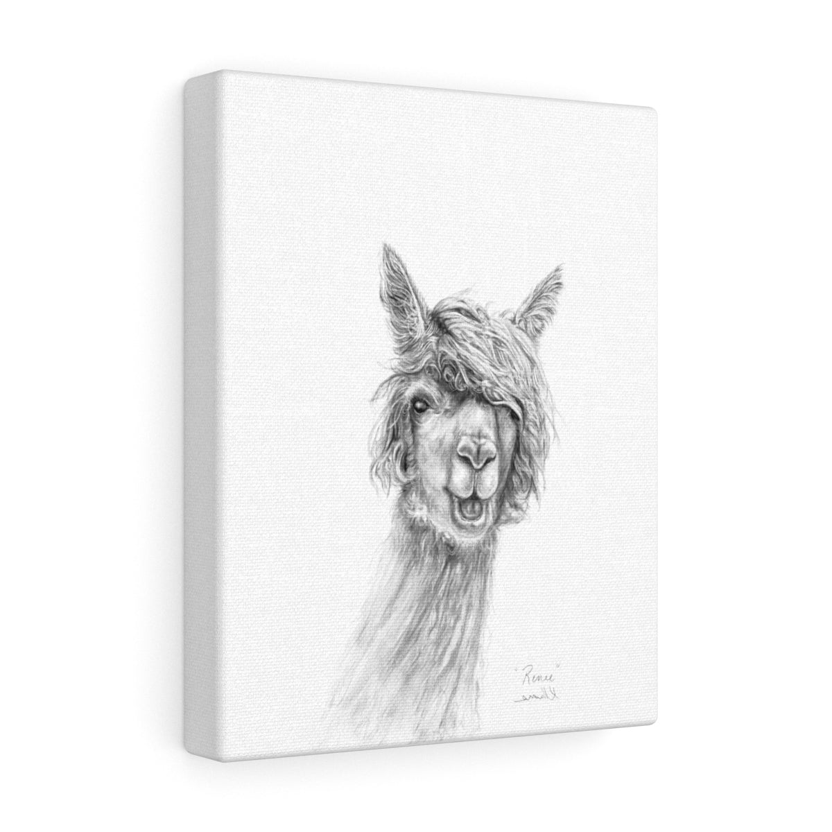 RENEE Llama - Art Canvas