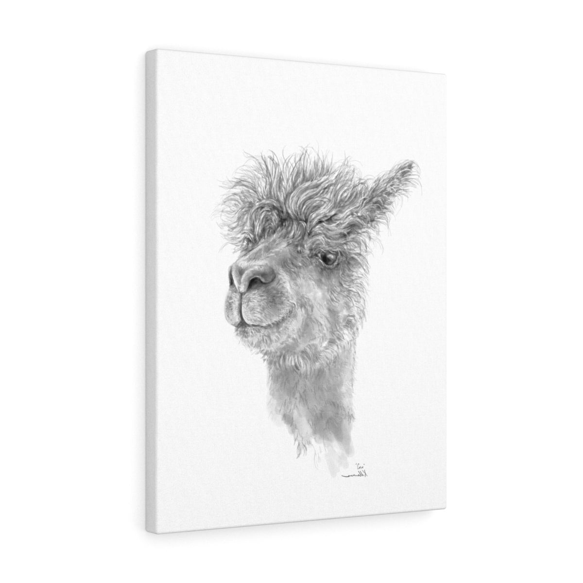 COCO Llama - Art Canvas