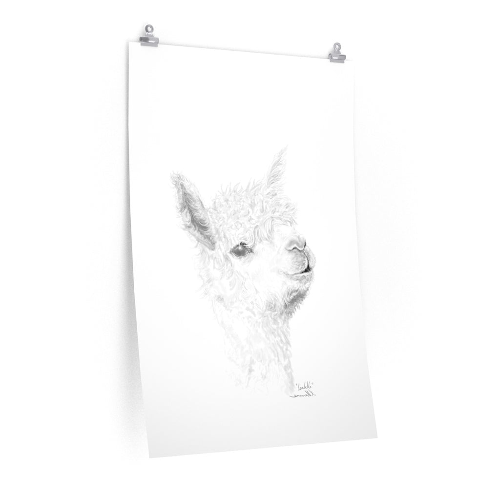 ISABELLA Llama- Art Paper Print