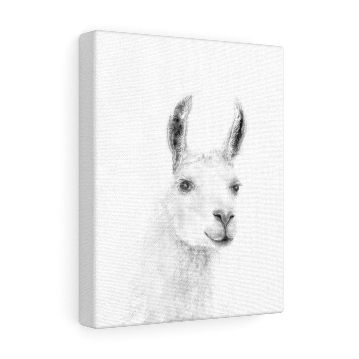 JILL Llama - Art Canvas