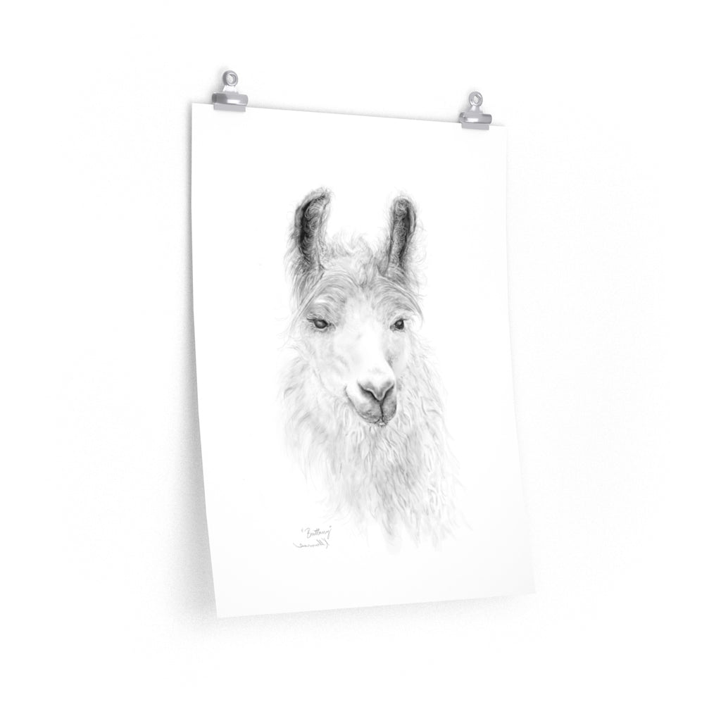 BRITTANY Llama- Art Paper Print