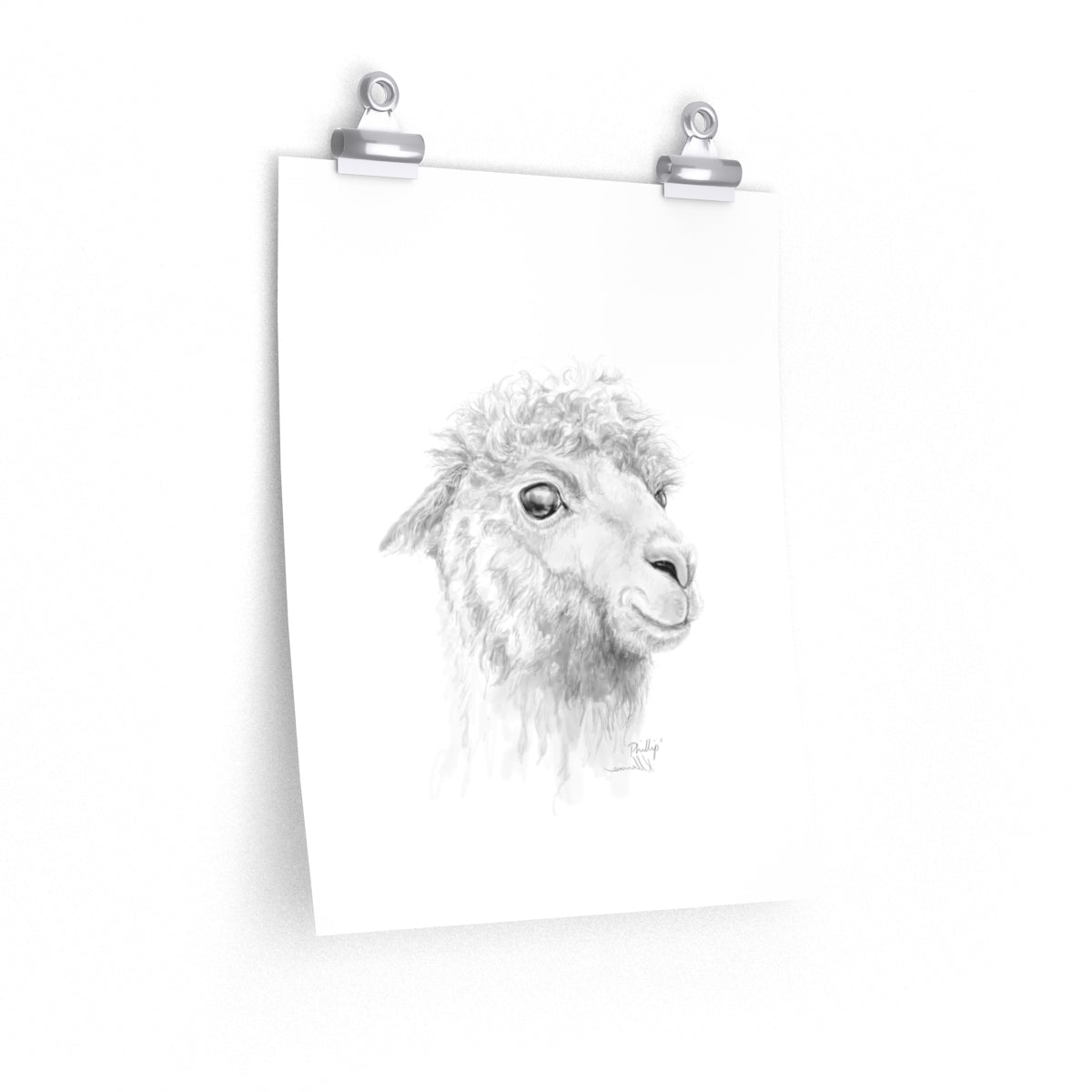 PHILLIP Llama- Art Paper Print