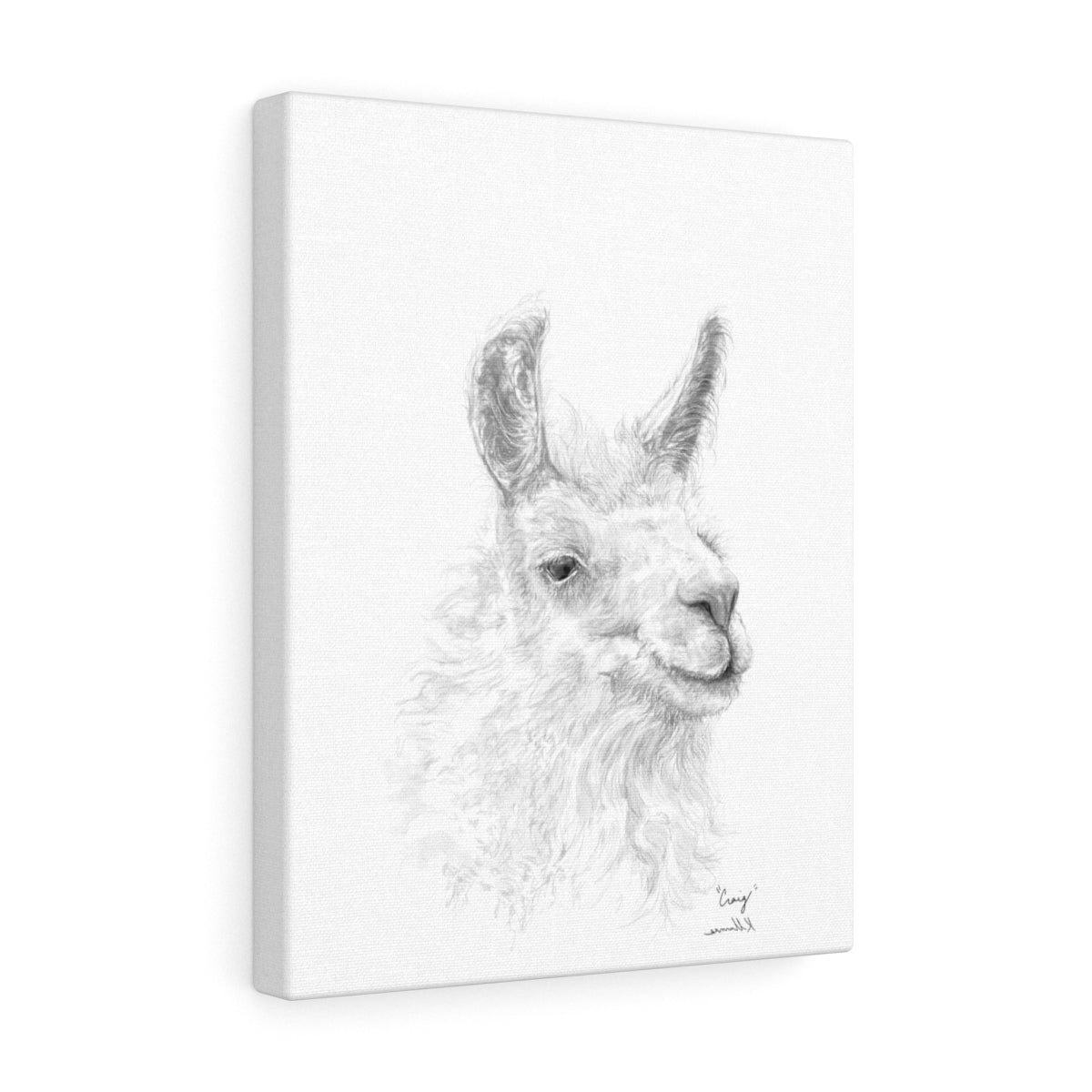 CRAIG llama- Art Canvas