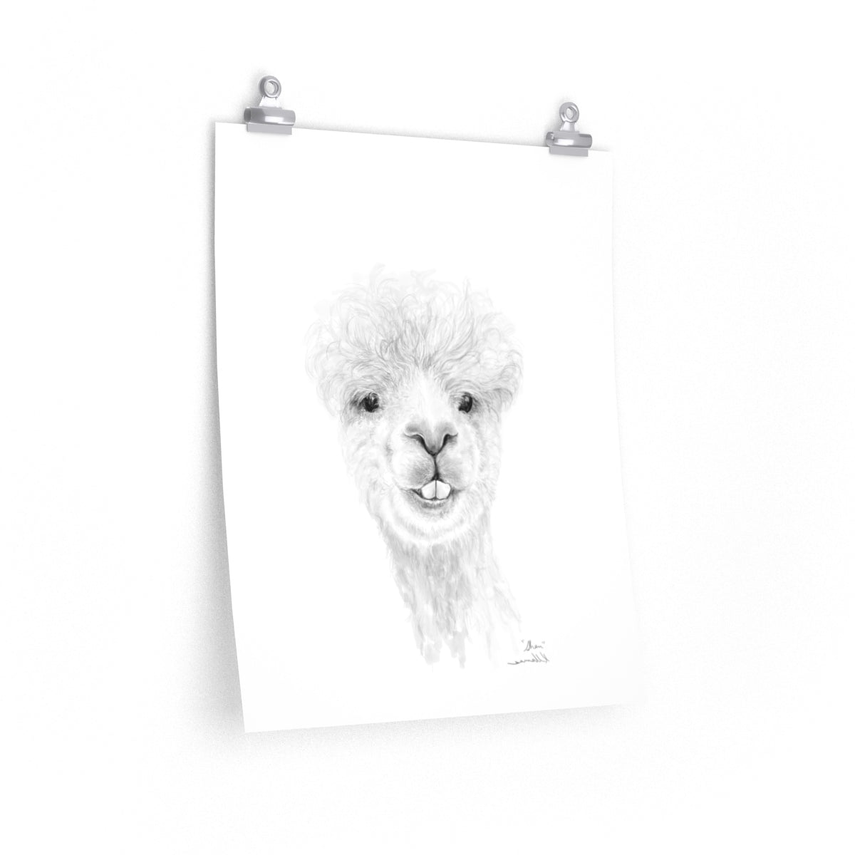 SHAN Llama- Art Paper Print