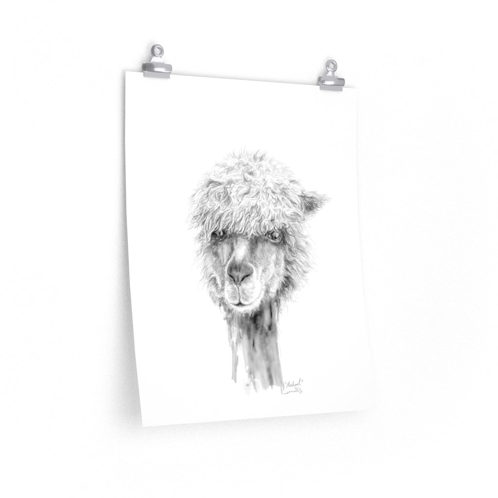 MICHAEL Llama- Art Paper Print