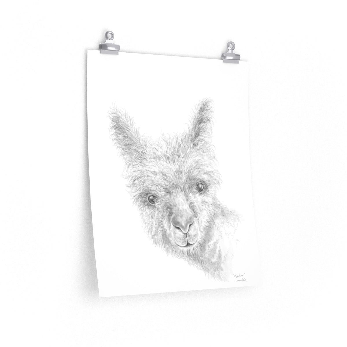 MEADOW Llama- Art Paper Print