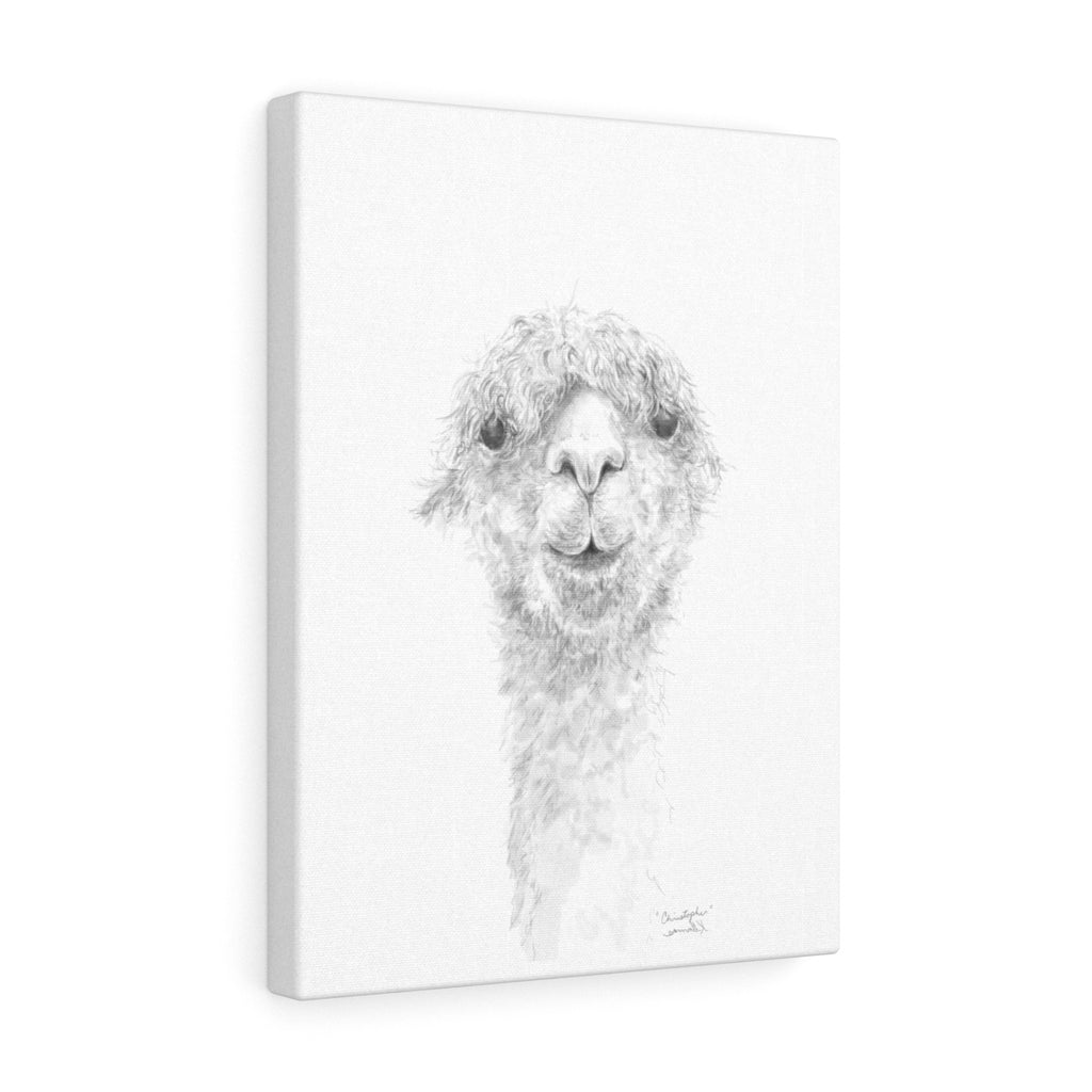 CHRISTOPHER Llama - Art Canvas