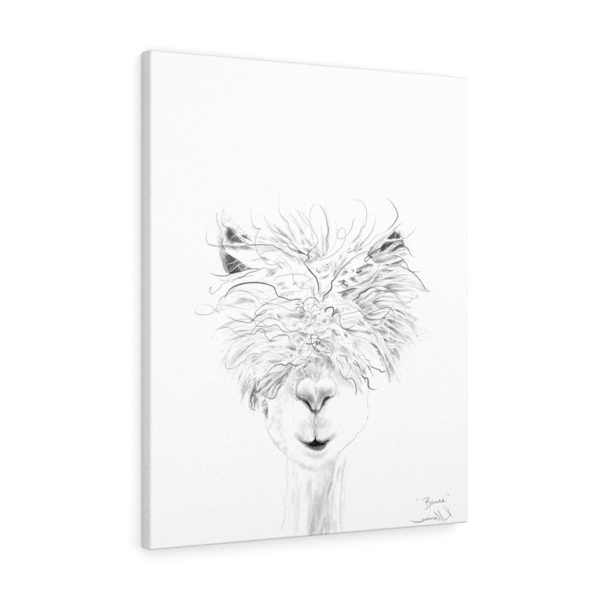 BRUCE Llama - Art Canvas