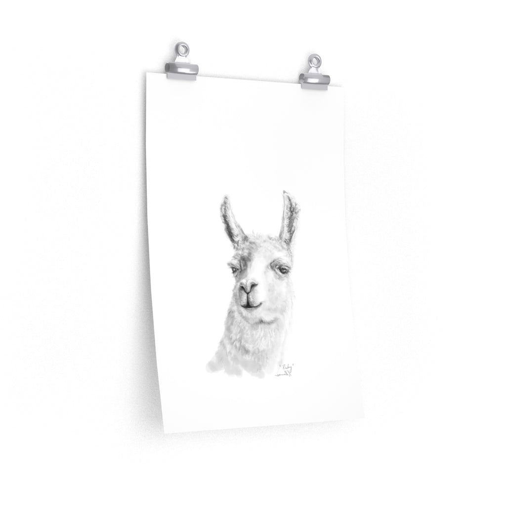 RUBY Llama- Art Paper Print