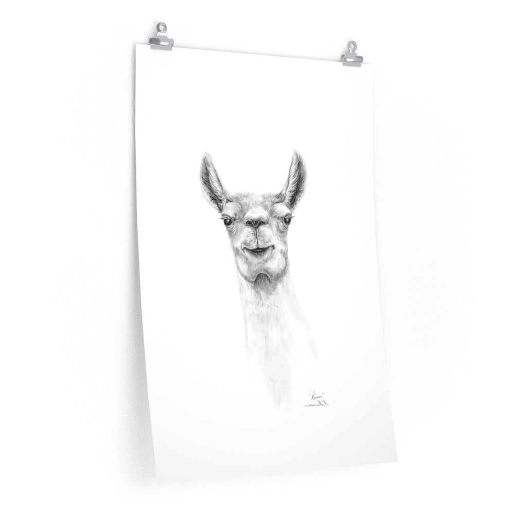 KAIN Llama- Art Paper Print