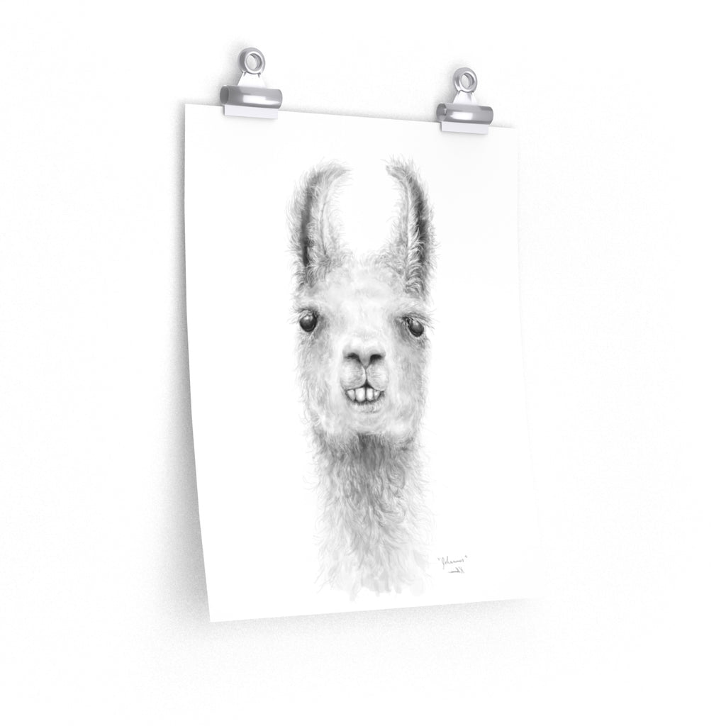 JOHANNES Llama- Art Paper Print