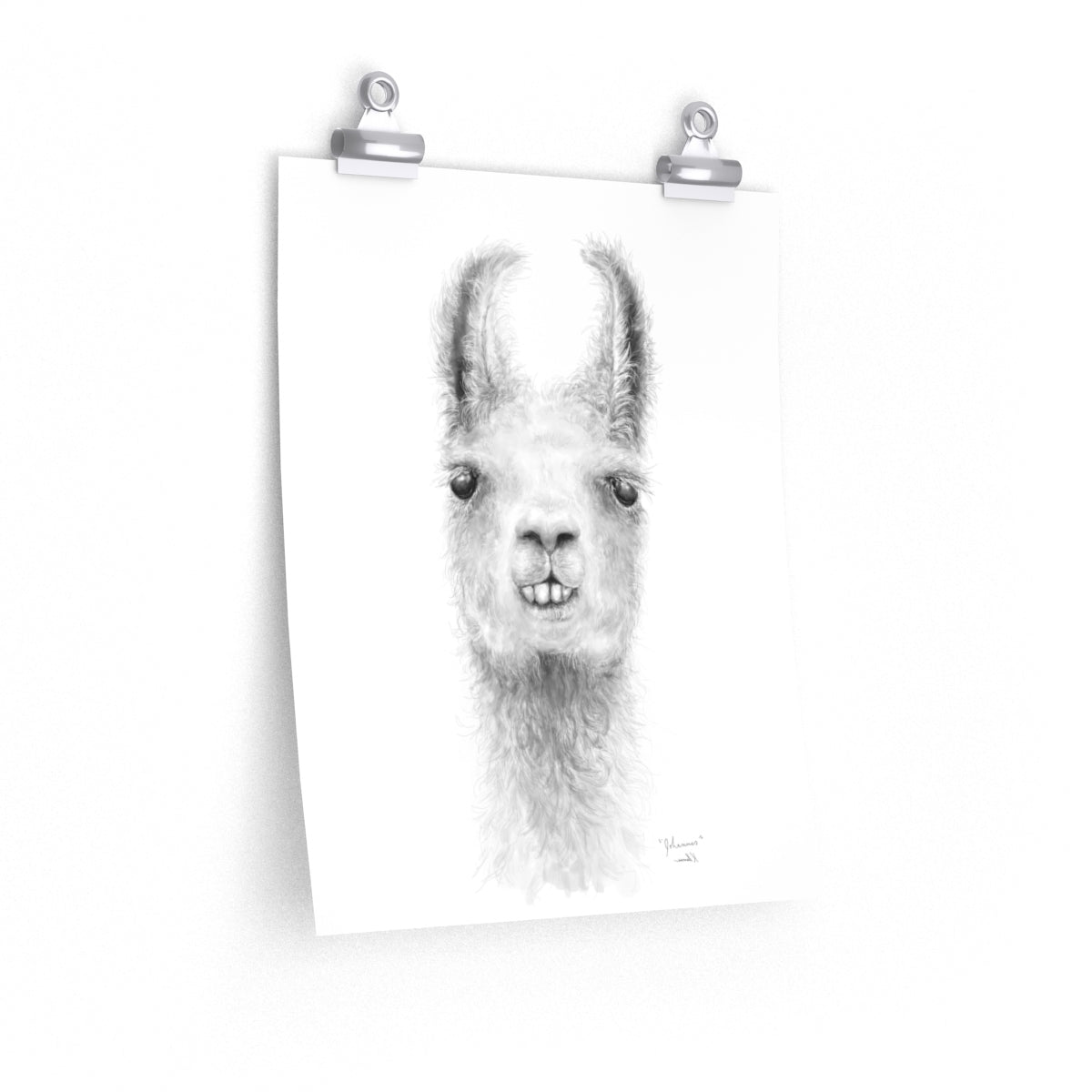 JOHANNES Llama- Art Paper Print