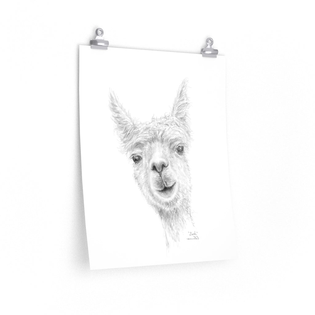 ZACH Llama- Art Paper Print