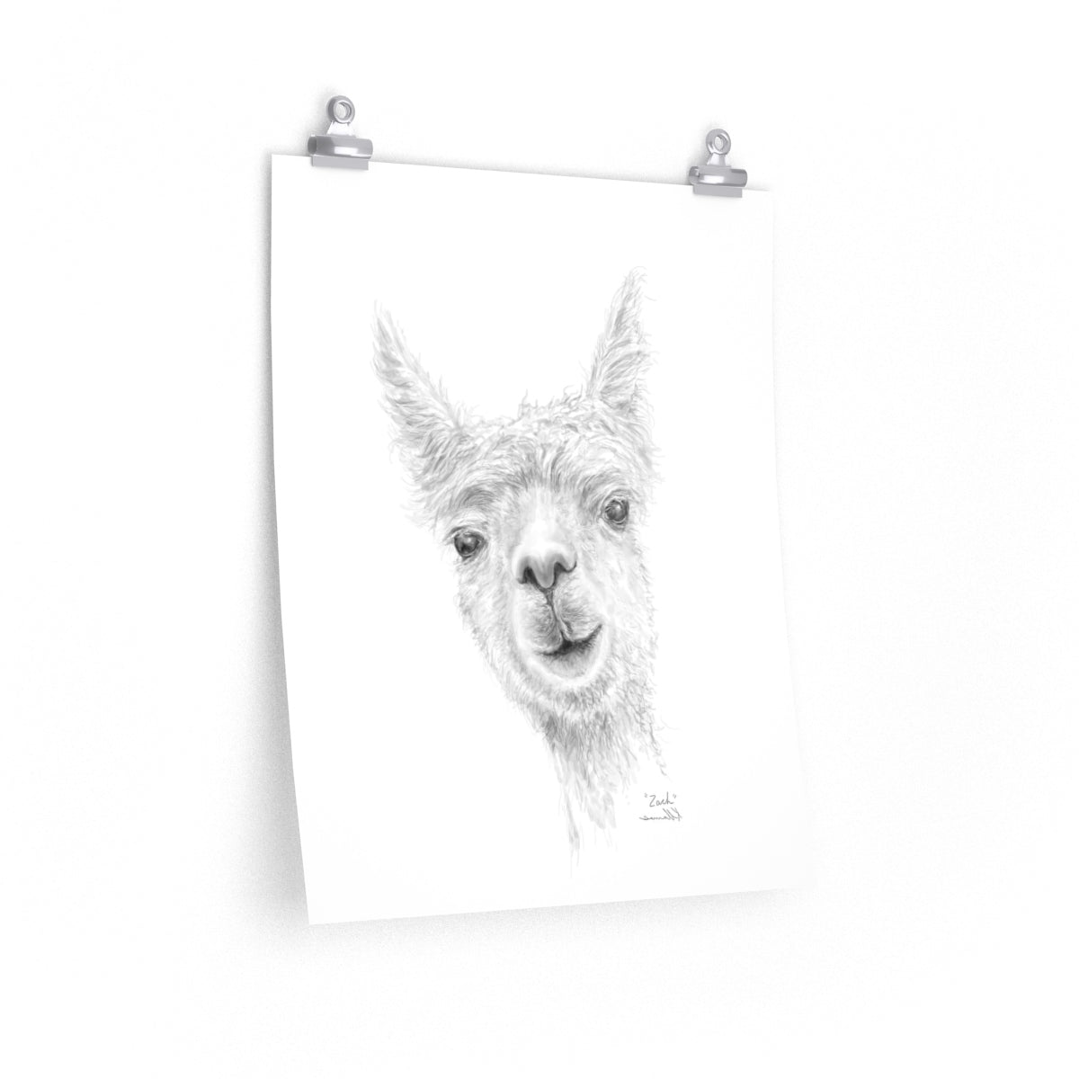 ZACH Llama- Art Paper Print