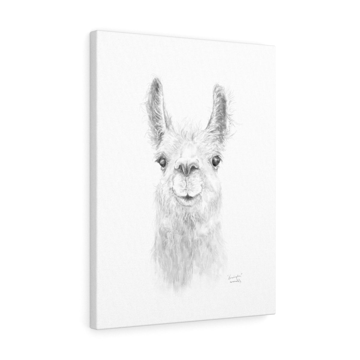 KENSINGTON Llama - Art Canvas