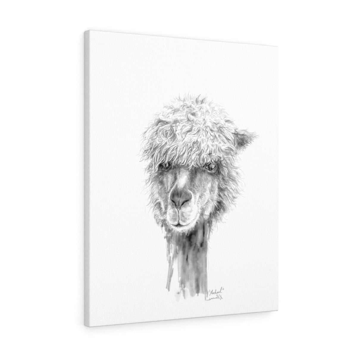 MICHAEL Llama - Art Canvas