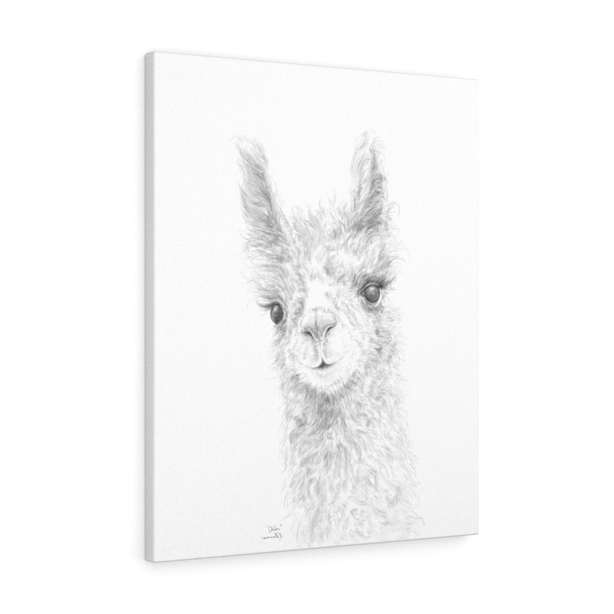 CHLOE Llama - Art Canvas