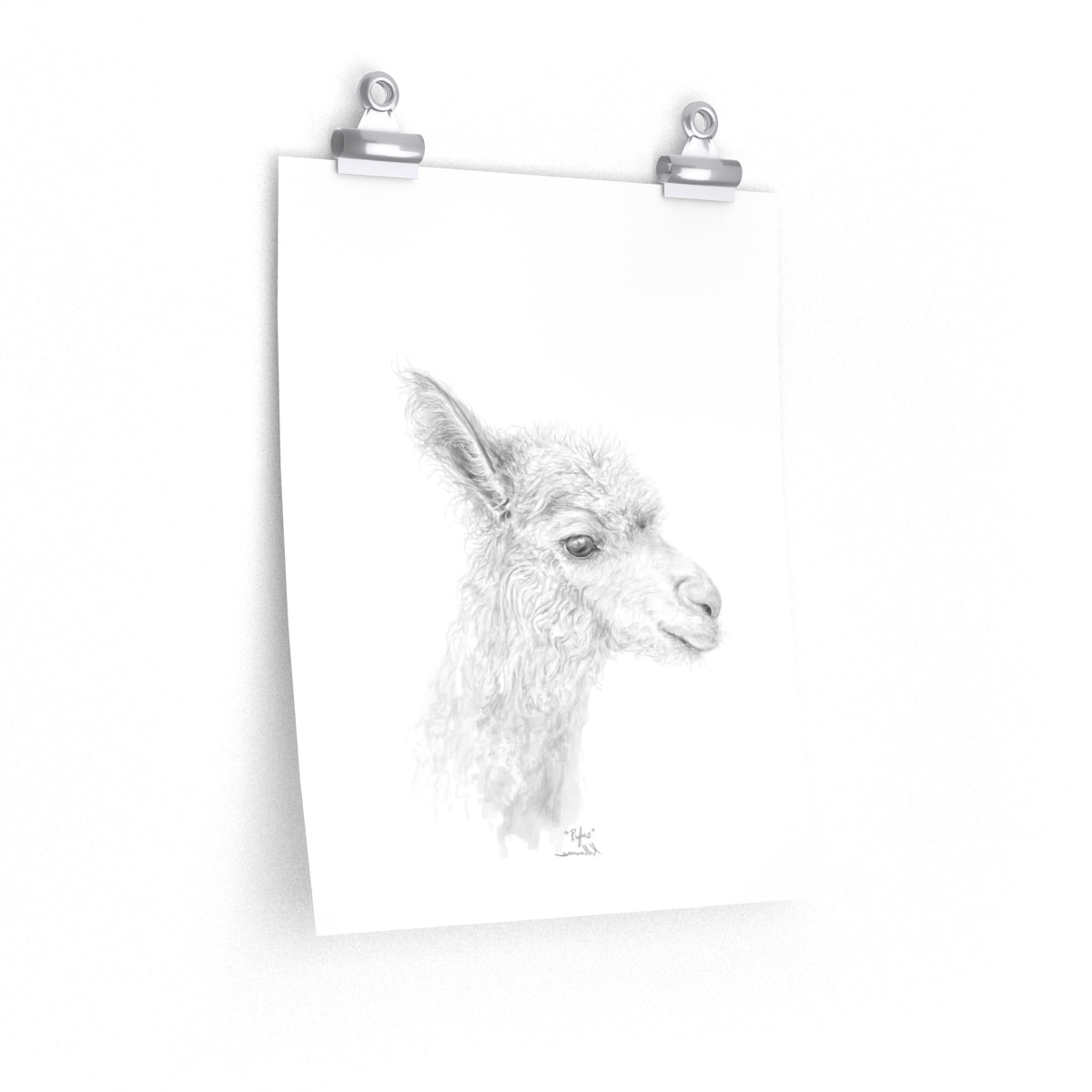 RUFUS Llama- Art Paper Print