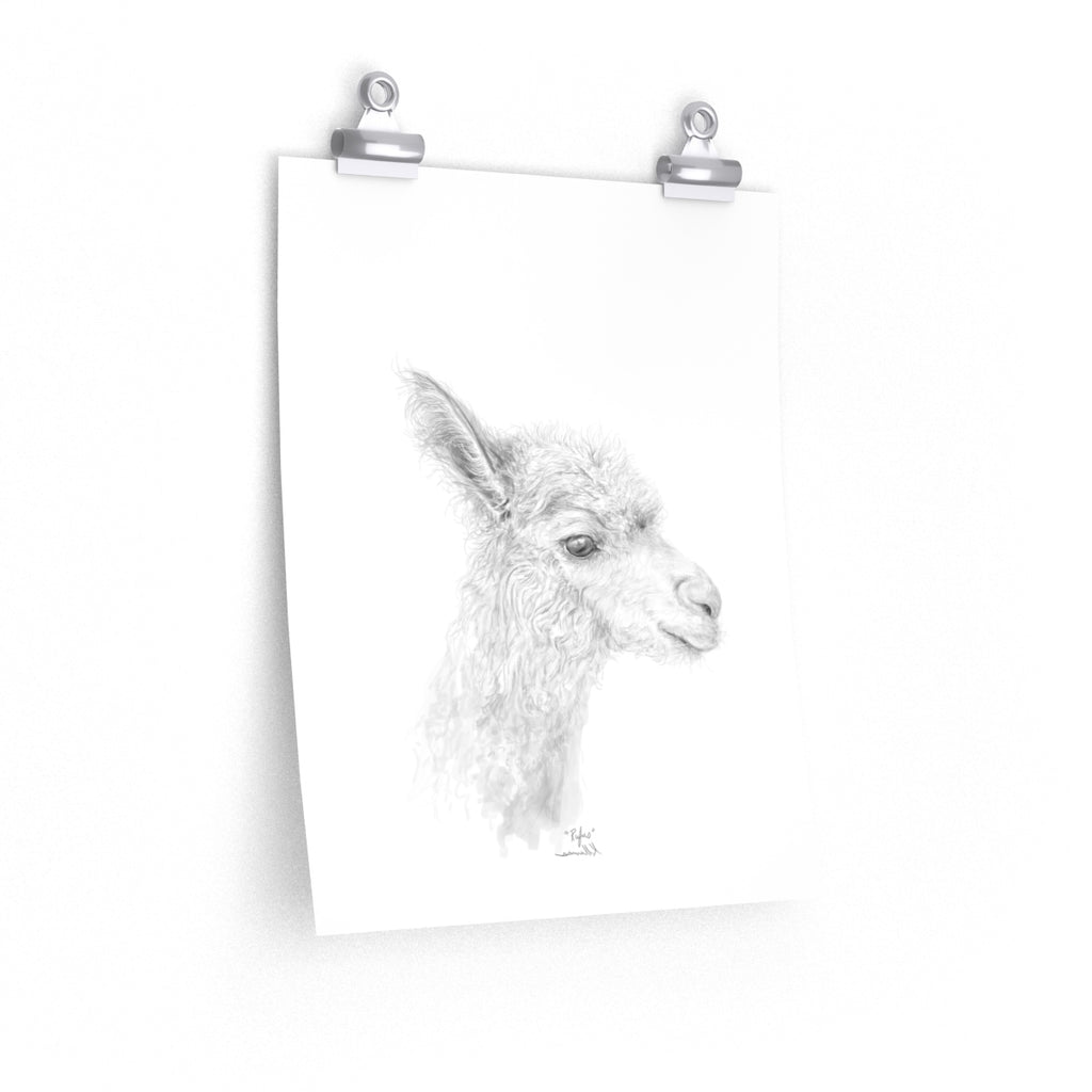 RUFUS Llama- Art Paper Print
