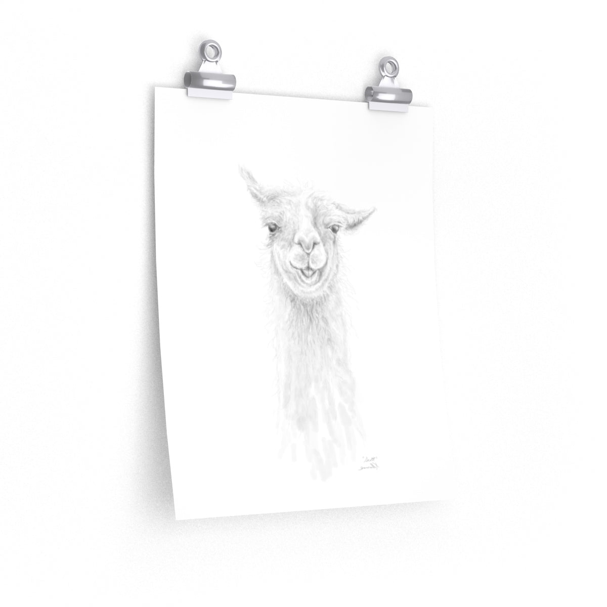SCOTT Llama- Art Paper Print