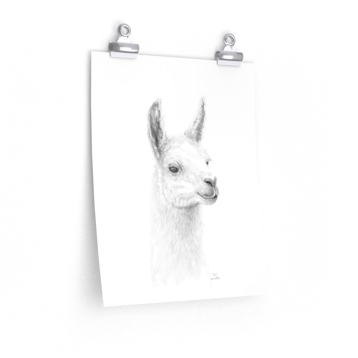 EVA Llama- Art Paper Print