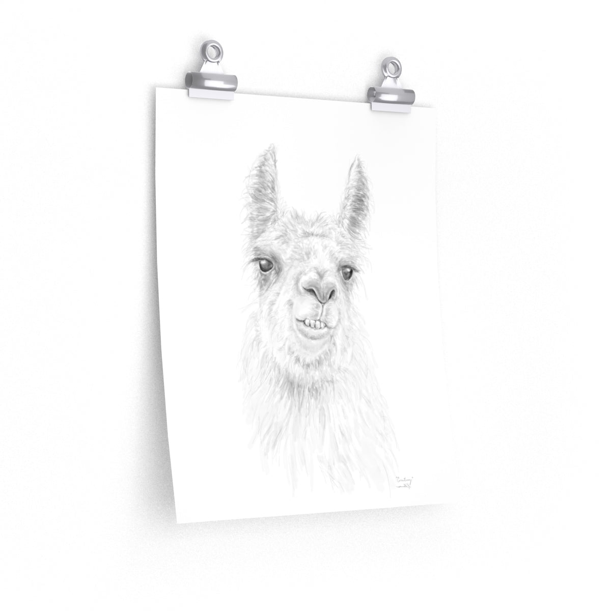 COURTNEY Llama- Art Paper Print